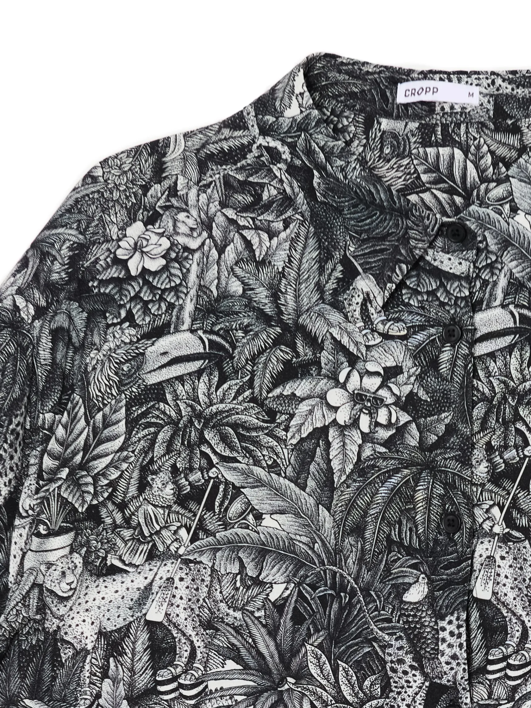 Fashion Cropp Koszula ze zwierzęcym printem wielobarwny