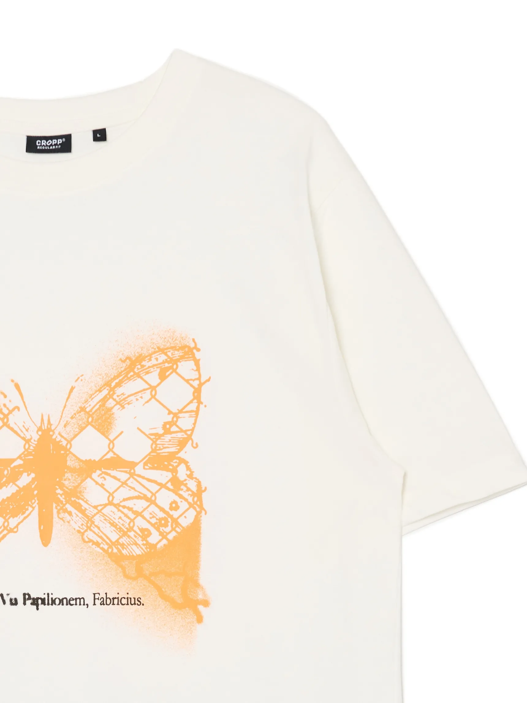 Discount Cropp Kremowa koszulka z motylem kremowy