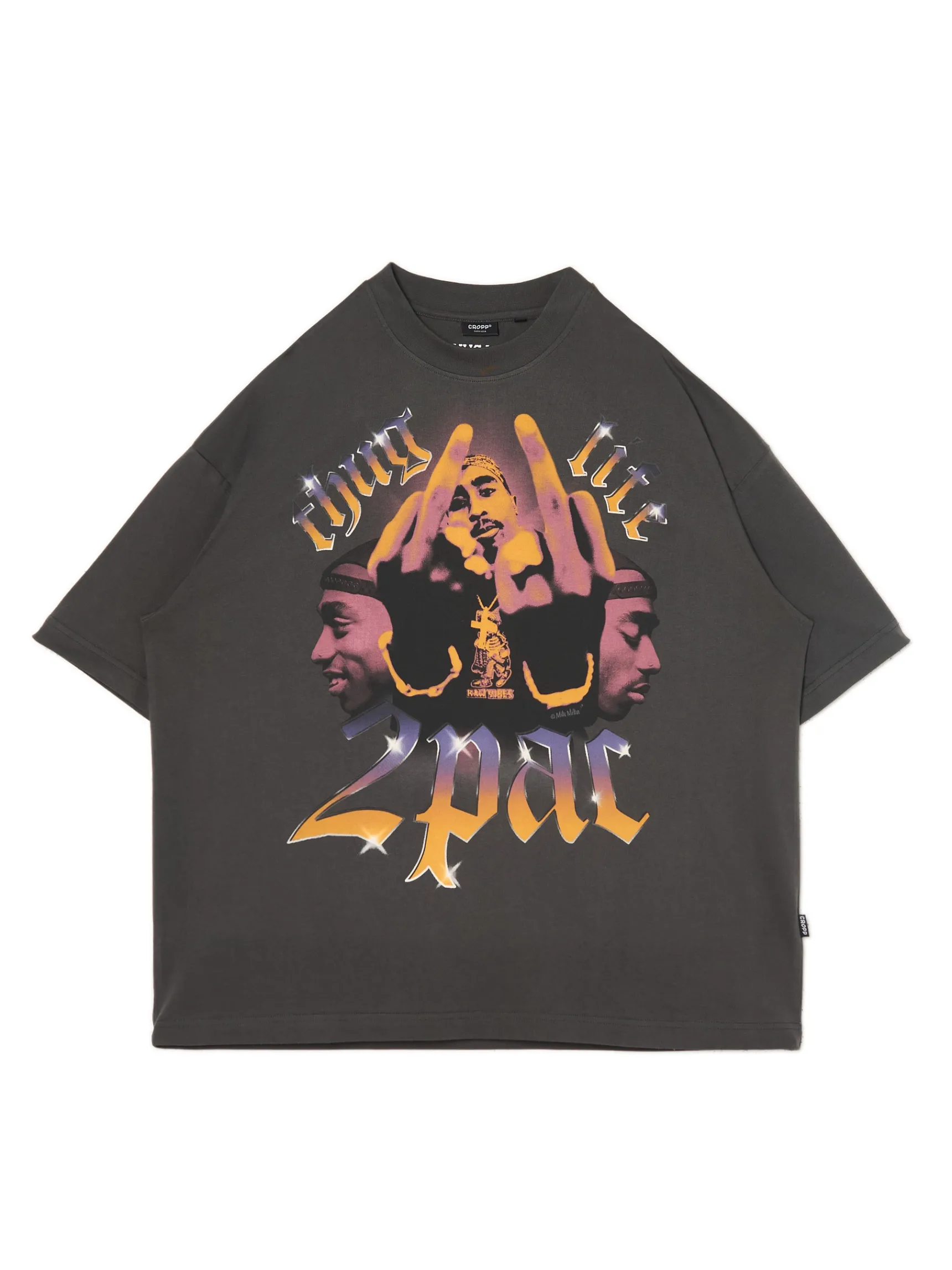 Outlet Cropp T-shirt z nadrukiem Tupac UNISEX szary